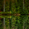 To the Antipodes (Harrachov)